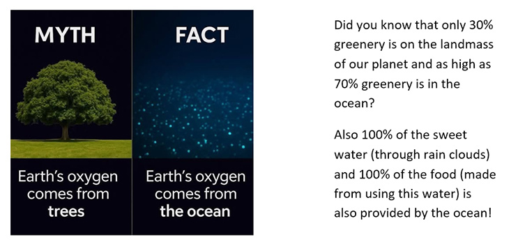 myth fact