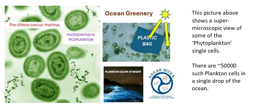 ocean plastic bags